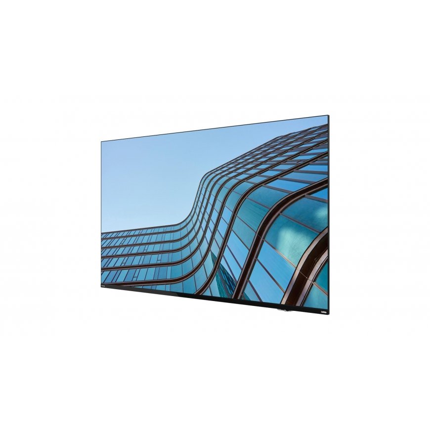 Lenovo ThinkVision E55 LFD kompiuterio monitorius 138,7 cm (54.6") 3840 x 2160 pikseliai 4K Ultra HD – 3
