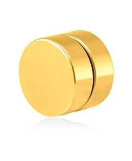 Gold-plated Magnetic Single Earring 2 in 1 (Stone, Mini Brooch) VSE6018G-PET
