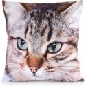 Eurofirany CHP/ANIMAL/67 45X45