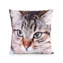 Eurofirany CHP/ANIMAL/67 45X45