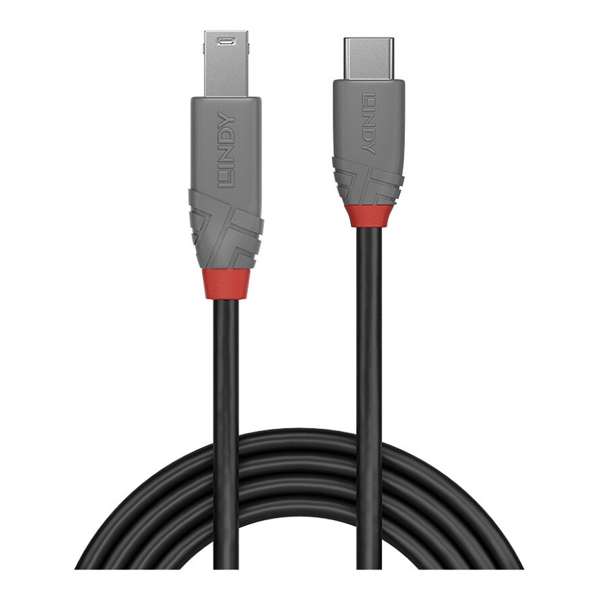 Lindy 1m USB 3.2 Type C to B Cable, Anthra Line – 2