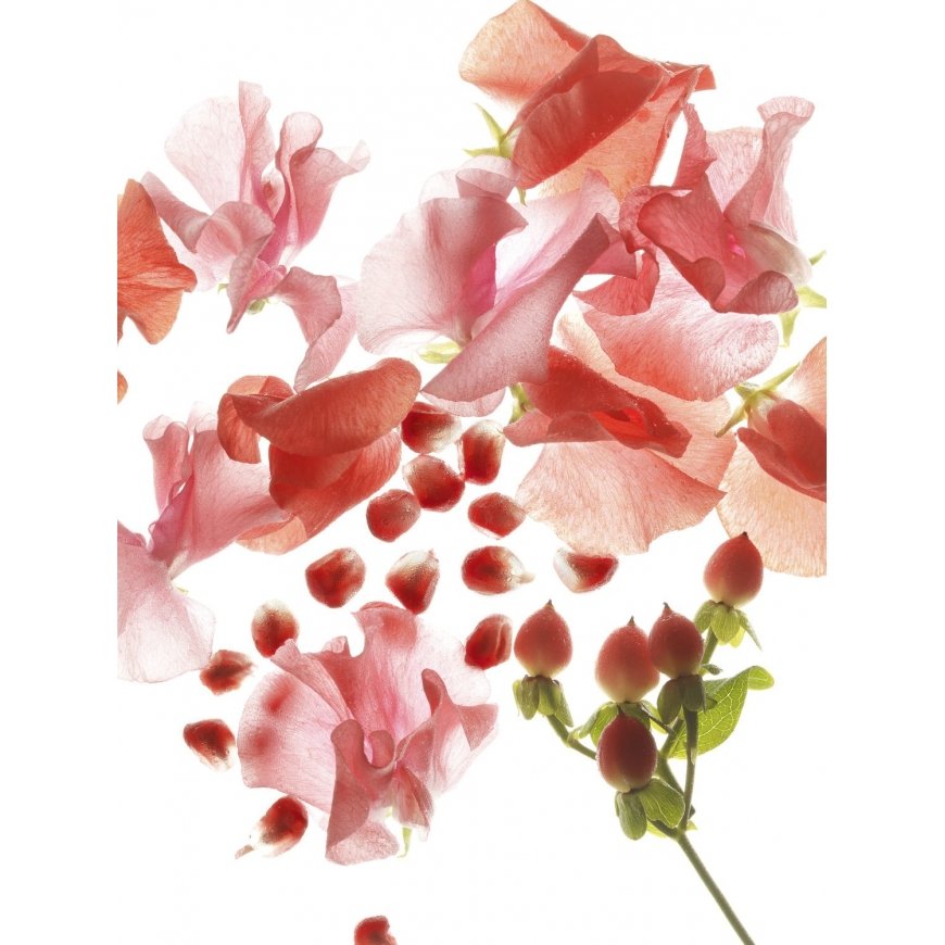 BVLGARI Omnia Coral 65 ml Naised – 3