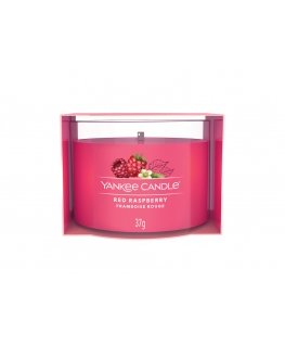 Yankee Candle 10.00077.0234 vahakynttilä Sylinteri Hedelmäinen Punainen 1 kpl