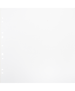 Focus kartona papildinājumi Ringbinder Gigant Baltas 10 iepakojumā