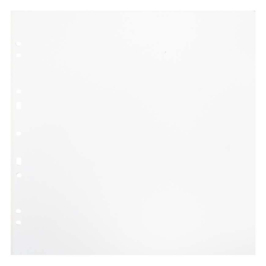 Focus Carton papildomos lapeliai Ringbinder Gigant baltos 10 vnt.