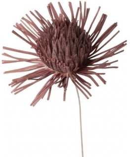Eurofirany KW/FLORE/755/POM POMA+BR