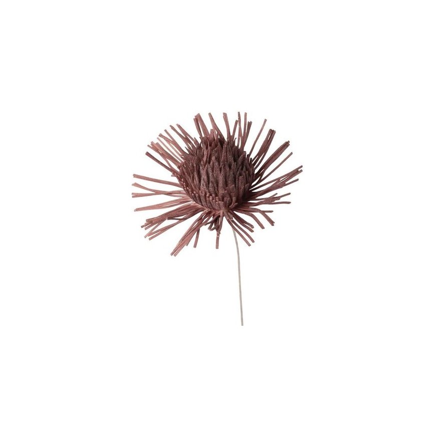 Eurofirany KW/FLORE/755/POM POMA+BR