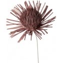 Eurofirany KW/FLORE/755/POM POMA+BR Eurofirany KW/FLORE/755/POM POMA+BR
