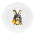 Aavikkolautanen Betty and Bunny 19 cm Aitvaras AMBITION JUNIOR Aavikkolautanen Betty and Bunny 19 cm Aitvaras AMBITION JUNIOR