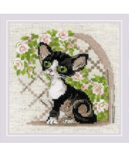Uab Riolis Kryželiu siuvinämisrinkin "Cornish Rex Kitten" 15x15 SR2121