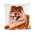 Eurofirany CHP/NINA/TAMSIAI RUDAS 45X45 TAMSI RUDAS Eurofirany CHP/NINA/TAMSIAI RUDAS 45X45 TAMSI RUDAS