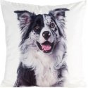 Eurofirany CHP/ANIMAL/77 45X45 Eurofirany CHP/ANIMAL/77 45X45