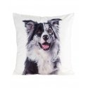 Eurofirany CHP/ANIMAL/77 45X45 Eurofirany CHP/ANIMAL/77 45X45