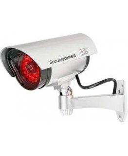 Oem Sidabrinis 30LED AT-2B-S sidabrinis vamzdinis fotoaparāta manekens