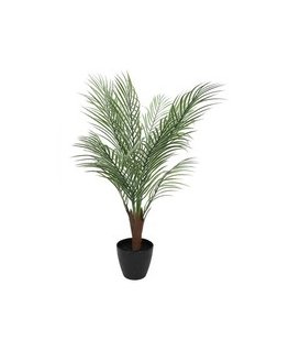 Tehis palm NOVA, Ø 50 x 85 cm