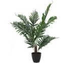 Tehis palm NOVA, Ø 50 x 85 cm Tehis palm NOVA, Ø 50 x 85 cm