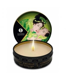 SHUNGA Exotic Green Tea Balta 30 ml 1 vnt 7 h