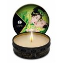 SHUNGA Exotic Green Tea White 30 ml 1 pc(s) 7 h SHUNGA Exotic Green Tea White 30 ml 1 pc(s) 7 h