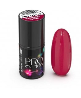 Cosmetics Zone Excellent Pro Pro Colors hübriidlak 19 Raspberry Cloud 7g