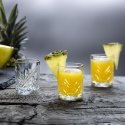 4 klasikinių Vodka stiklinių rinkinys 60 ml PASABAHCE 4 klasikinių Vodka stiklinių rinkinys 60 ml PASABAHCE