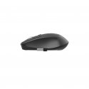 Gembird MUSW-4B-05 mouse Office RF Wireless Optical 1600 DPI Gembird MUSW-4B-05 mouse Office RF Wireless Optical 1600 DPI