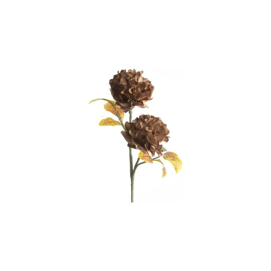 Eurofirany KW/FLORE/772/BROWN
