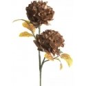 Eurofirany KW/FLORE/772/BROWN Eurofirany KW/FLORE/772/BROWN