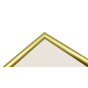 Valokuvakehys Focus Lily Gold 13x18