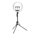 Ceiling Light Lighting Accessory - MITOYA Flexible Stand Holder for LED Lights Ceiling Light Lighting Accessory - MITOYA Flexible Stand Holder for LED Lights