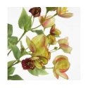 Eurofirany KW/NATU/433/Green Green+DARK Pink Eurofirany KW/NATU/433/Green Green+DARK Pink