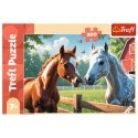 Trefl 13328 pusle 200 tk Animals Trefl 13328 pusle 200 tk Animals
