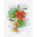 Beldizart Soft Petals SM-425 Beldizart Soft Petals SM-425