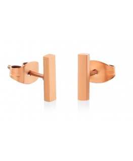 Stylish bronze minimalist earrings Sticks