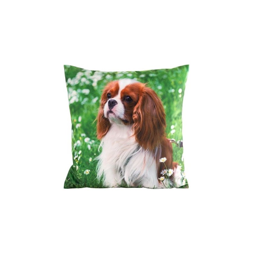 Eurofirany CHP/ANIMAL/74 45X45
