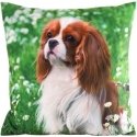 Eurofirany CHP/ANIMAL/74 45X45 Eurofirany CHP/ANIMAL/74 45X45