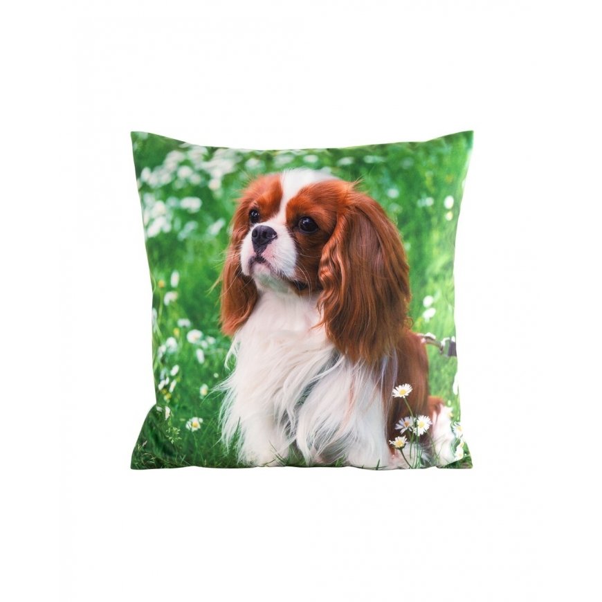 Eurofirany CHP/ANIMAL/74 45X45 – 2