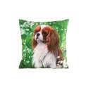 Eurofirany CHP/ANIMAL/74 45X45 Eurofirany CHP/ANIMAL/74 45X45