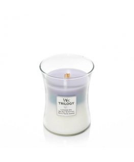 WoodWick 92965 vahaküünal Muu Eukalüpt, Lavendel Sinine, Lilla, Valge 1 tk