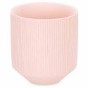 AmeliaHome GĖLĖS/AH/PASO/PERSIKO/9X9,8 AmeliaHome GĖLĖS/AH/PASO/PERSIKO/9X9,8
