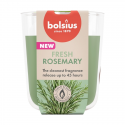 Kvapiosios žvakės stiklinė „True Scents“ Ø80x73mm, rozmarino spa Kvapiosios žvakės stiklinė „True Scents“ Ø80x73mm, rozmarino spa