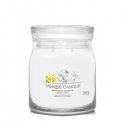 Yankee Candle Midnight Jasmine wax candle Cylinder White 1 pc(s) Yankee Candle Midnight Jasmine wax candle Cylinder White 1 pc(s)