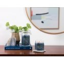 Yankee Candle Bayside Cedar vahakynttilä Sylinteri Meripihka, Greippi, Mandariini Sininen 1 kpl Yankee Candle Bayside Cedar vahakynttilä Sylinteri Meripihka, Greippi, Mandariini Sininen 1 kpl