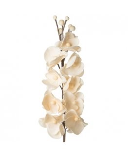 Eurofirany KW/FLORE/748/BEIGE BEIGE+K