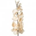 Eurofirany KW/FLORE/748/BEIGE БЕЖЕВЫЙ+K Eurofirany KW/FLORE/748/BEIGE БЕЖЕВЫЙ+K