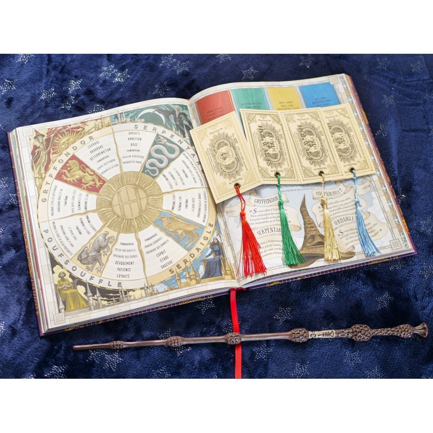 Carat Shop Harry Potter Hermione skirtukas