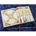 Carat Shop Harry Potter Hermione skirtukas Carat Shop Harry Potter Hermione skirtukas