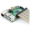 OEM Cable IDC 40-pin Socket-Socket 60cm for Raspberry Pi 4B/3B+/3B/2B