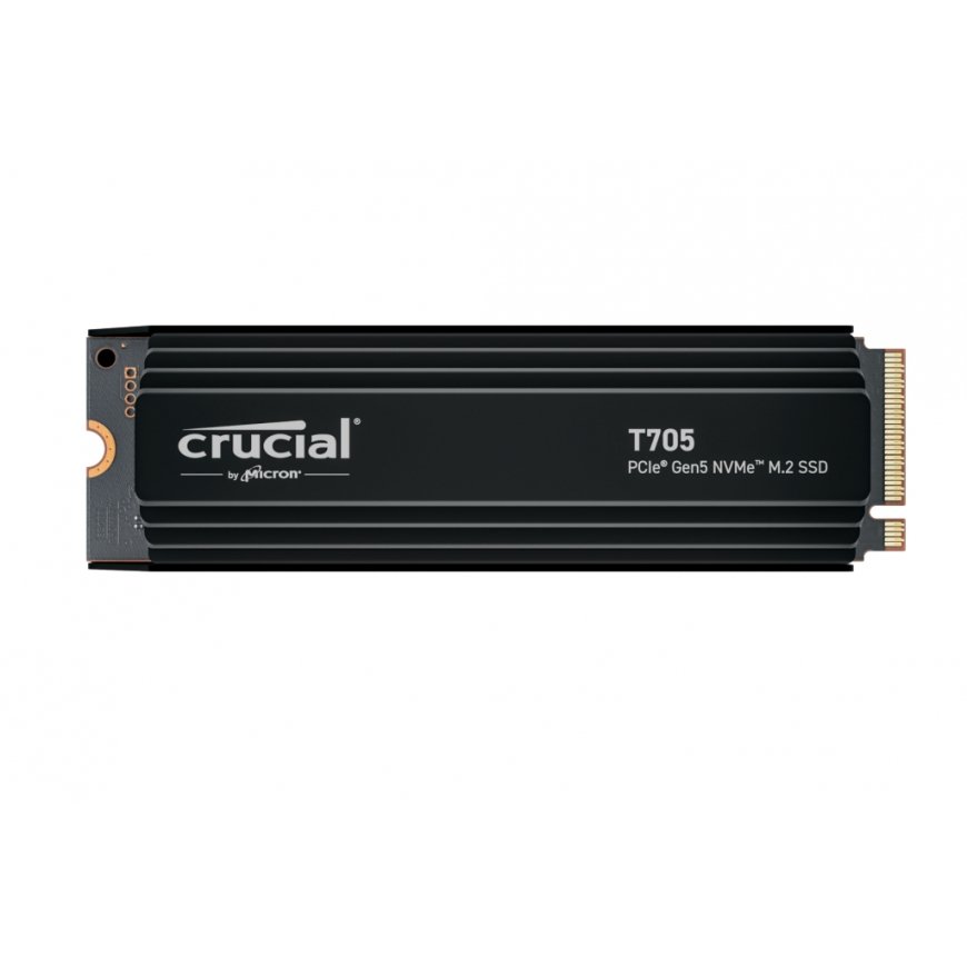 Crucial CT1000T705SSD5 SSD diskdzinis 1 TB