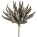 Eurofirany KW/FLORE/830/SRE Sudribens Eurofirany KW/FLORE/830/SRE Sudribens