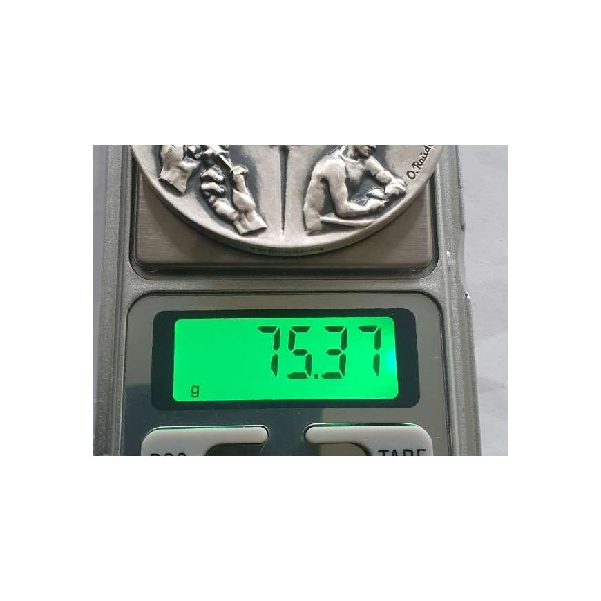 Eurofirany KW/FLORE/830/SRE Серебристый – 2